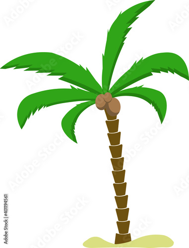 Palmera
