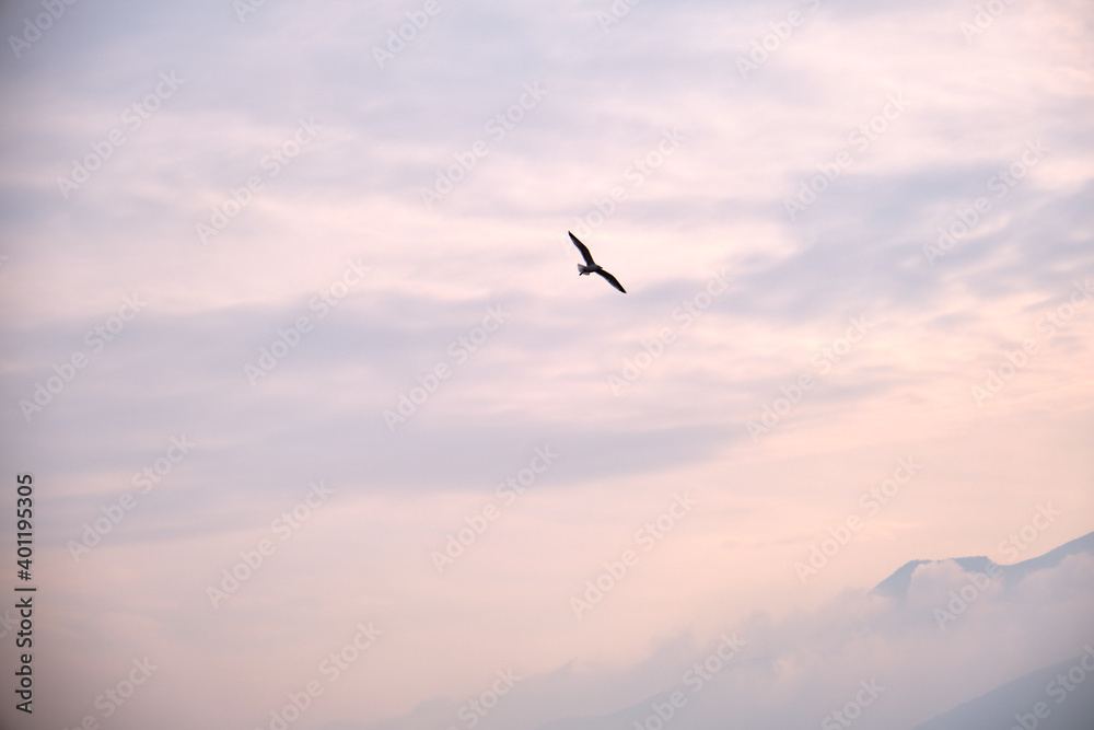 Birds on the sky. Overcast and very cloudy weather during sunshine in Bursa Sky. Birds on the sky. Overcast and very cloudy weather during sunshine in Bursa Sky.