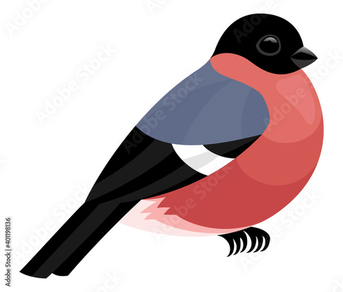 Illustration with cute bullfinch icon isolated on white background.