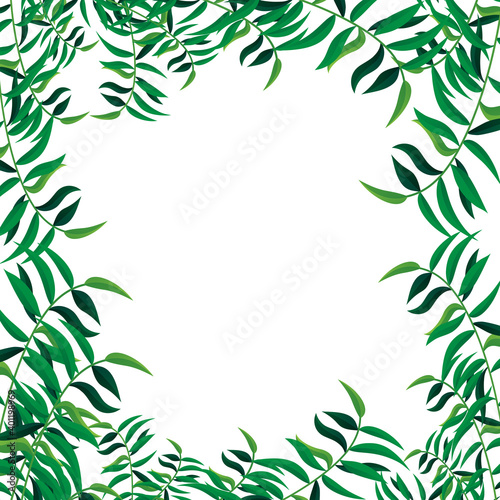 Jungle leaves frame isolated on white background. For poster  placard  backdrop and banner. Useful for flyer  leaflet and wallpaper template. Creative art concept  leaves vector background