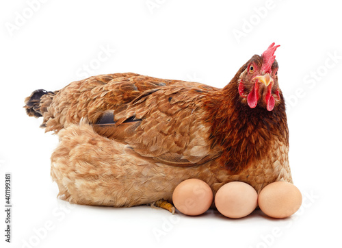 Chicken with eggs.
