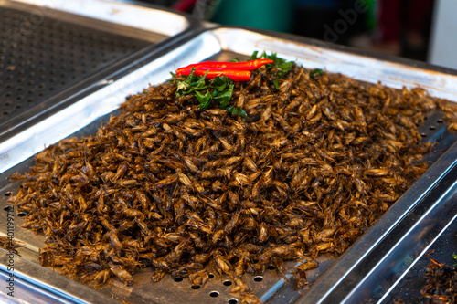 Asian food market. A counter with fried insects