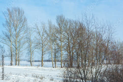 Winter landscape with field, trees and blue sky,long horizontal composition. Light fog and haze over the forest. Natural atmospheric cold background. View from the car window on the snow-covered trees