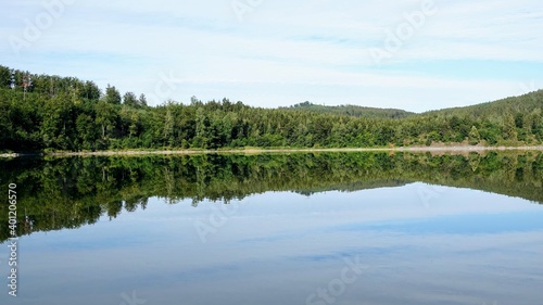 reflection of a coniferous tree in the water of a dam  summer 