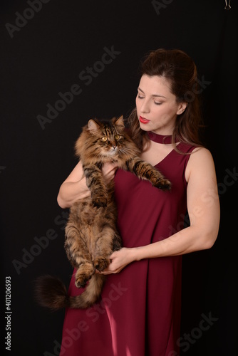 girl in marsala dress holds Maine Coon in her arms. Red-headed cat. adult Maine Coon cat. cat on a black background in hands