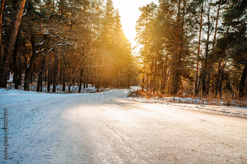 Beautiful road to the snowy winter forest with pine trees, sun rays