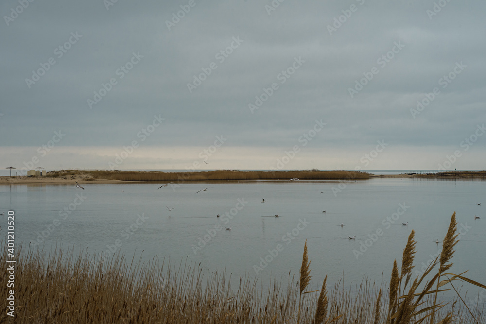  A lake near the sea of Azov. Reeds at a sea in winter. Landscape cloudy background.