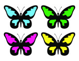set of butterflies isolated, vector illustration 