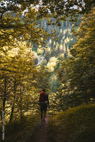 Randonneur dans la forêt © Valpictures