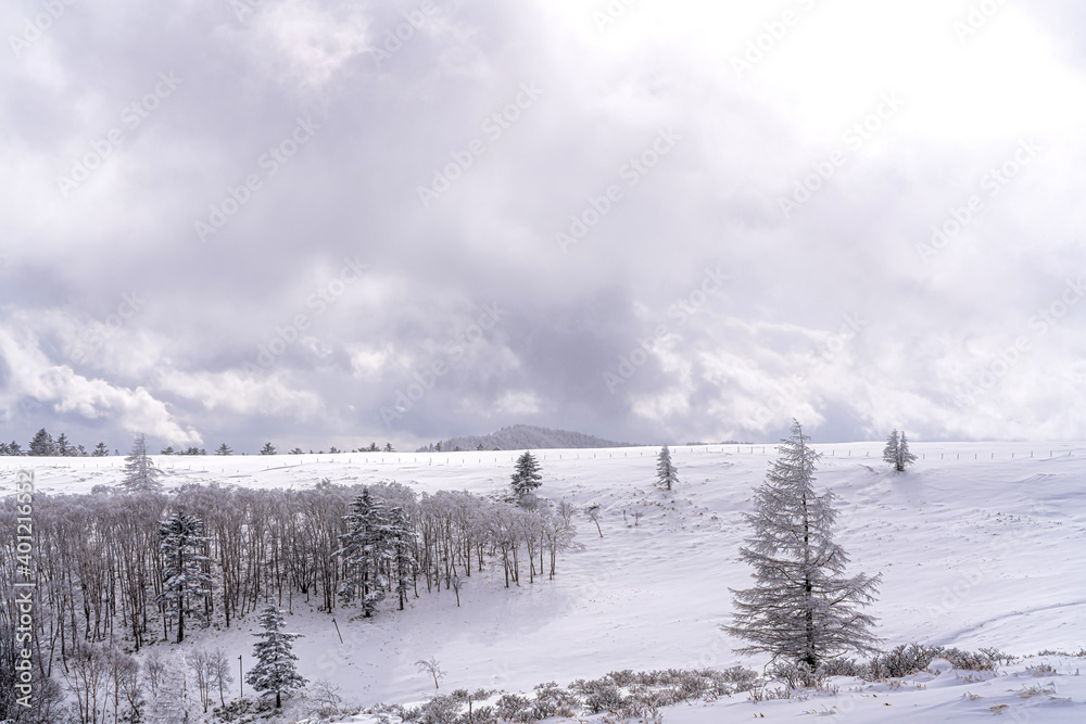【冬イメージ】厳冬期の雪原