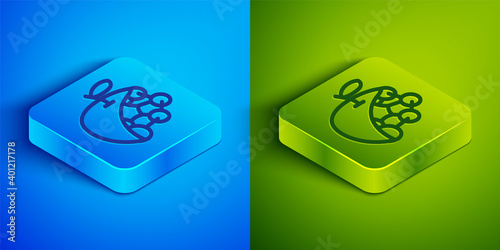 Isometric line Biological structure icon isolated on blue and green background. Genetically modified organism and food. Square button. Vector.