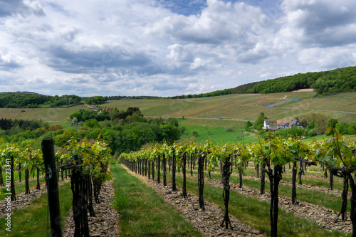 Wandern im Ahrtal über Ahrweiler auf dem Rotweinwanderweg