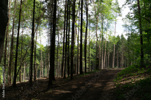 Wandern im Ahrtal über Ahrweiler auf dem Rotweinwanderweg