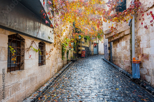 Εκτύπωση καμβά Old Bey district street view in Gaziantep City of Turkey