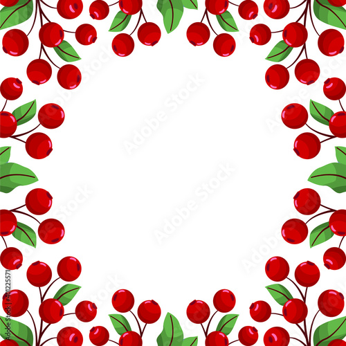 Vector background with cranberries; for greeting cards, invitations, posters, banners.