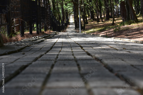 gray brick walkway stretching into the distance