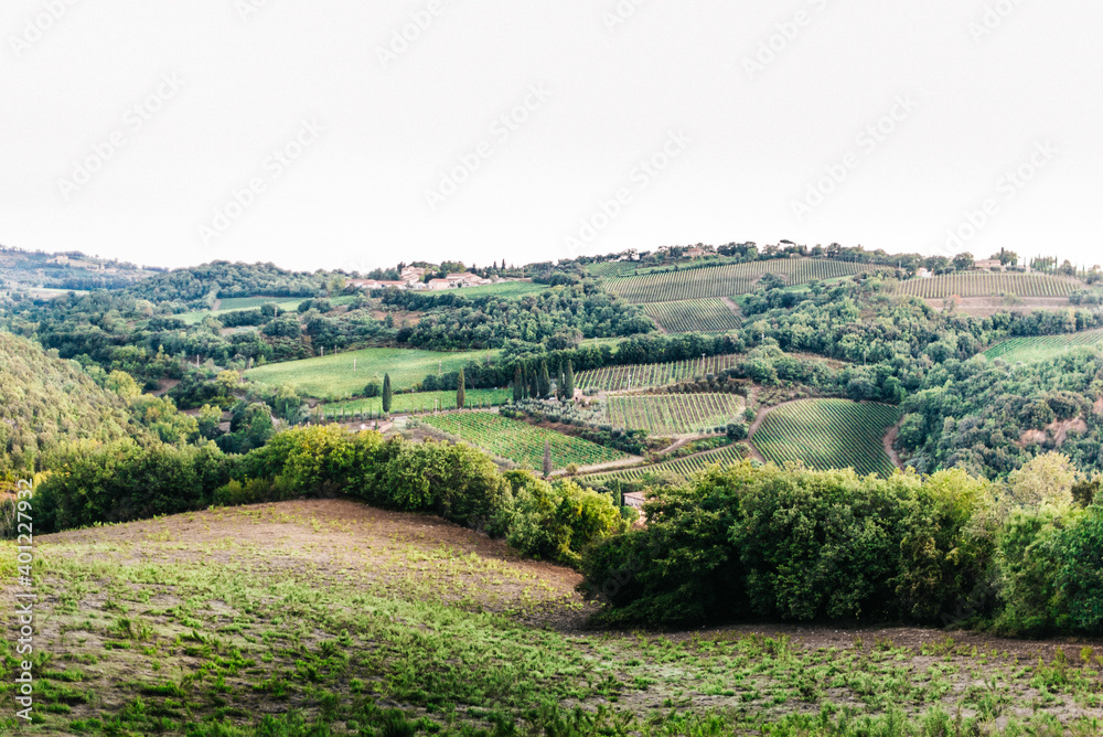 Obraz premium Tuscany landscape field. Italy agriculture
