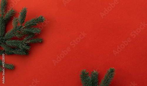 Close up view of fir tree branch, Christmas mood background 