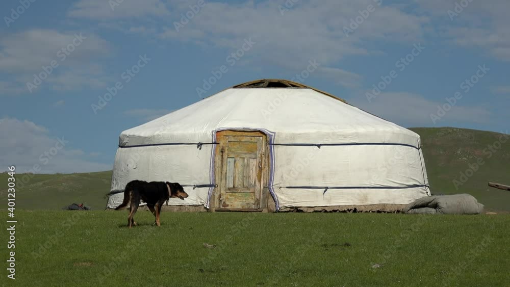 A black dog alone in front of the real Mongolian ger.Gers tent tents ...