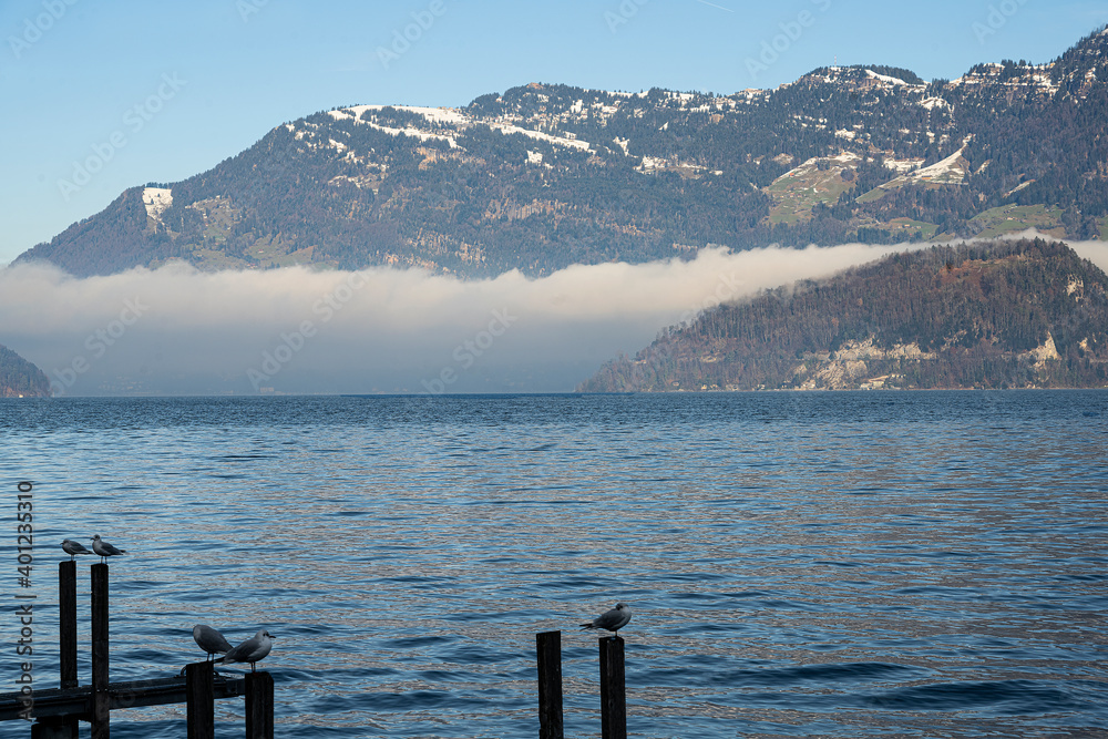 Am Ufer des Vierwaldstättersees bei Beckenried, Kanton Nidwalden, mit Blick auf die Rigi, Schweiz Am Ufer des Vierwaldstättersees bei Beckenried, Kanton Nidwalden, mit Blick auf die Rigi, Schweiz