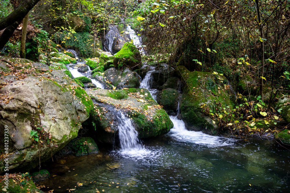 wonderful waterfalls of the cypress forest of fontegreca wonderful waterfalls of the cypress forest of fontegreca