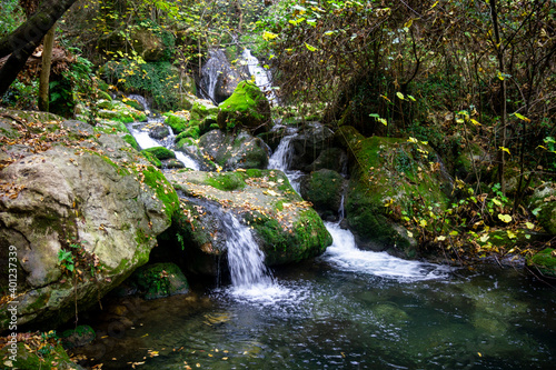 wonderful waterfalls of the cypress forest of fontegreca