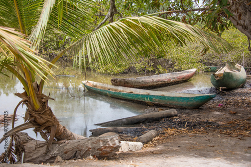 Viejas canoas abandonadas en Makasutu, Gambia photo