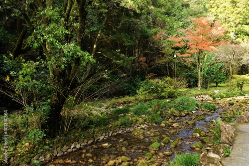 Creek at Akiyoshi cave, Akiyoshido in Yamaguchi, Japan - 秋吉台 秋芳洞の小川