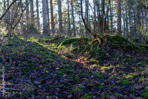 Wanderung rund um Wildenburg