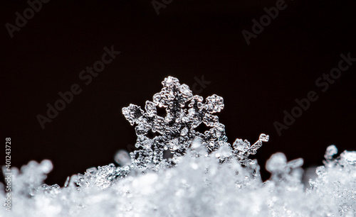 winter card, photo real snowflakes on snow