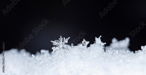 winter card, photo real snowflakes on snow