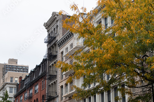 Photography Row of Old Brick Apartment Buildings in SoHo of New York City with Colorful Tree