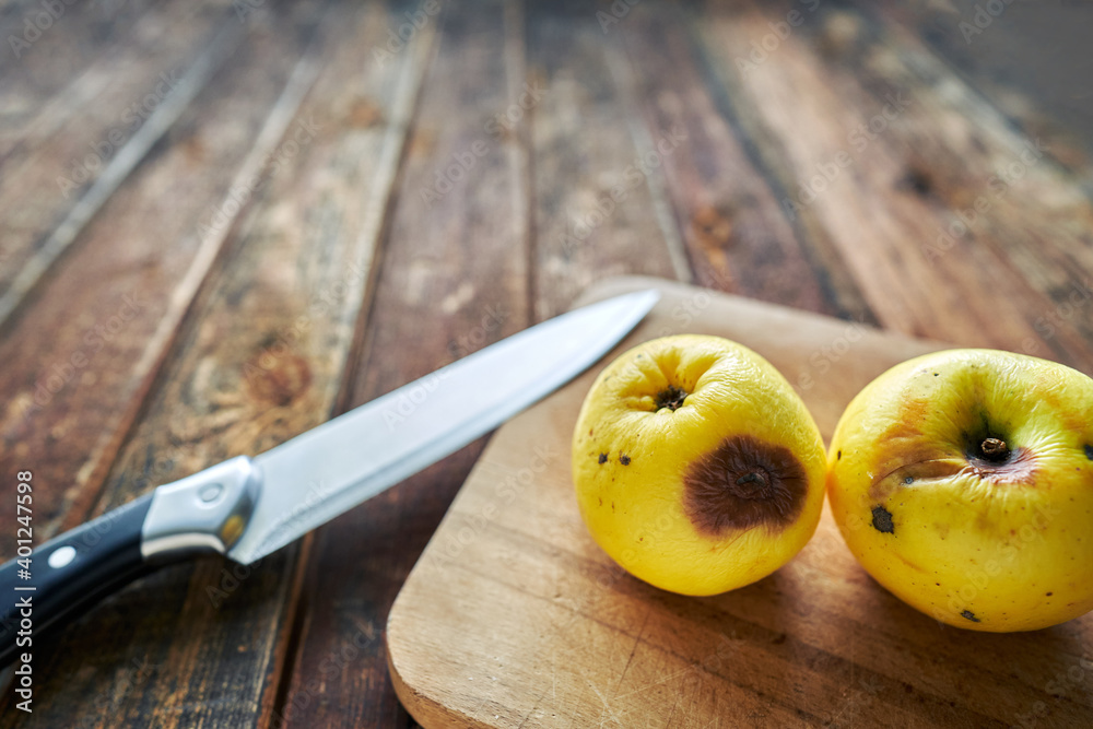 Rotten wrinkled apples with a sharp knife on a wooden board. Close-up still life.