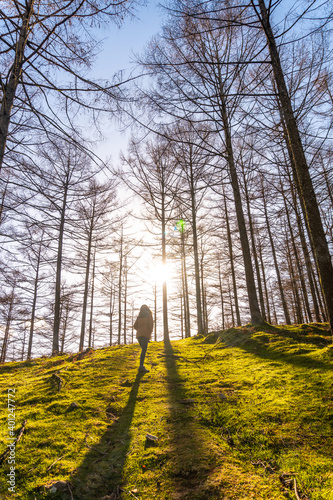 A young hiker walking in the Oianleku forest at dawn, in the town of Oiartzun, Gipuzkoa. Basque Country. Spain photo