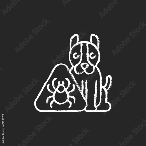 Pet hazards chalk white icon on black background. Household dangers for animals. Fleas and ticks. Animal attacks. Pet-friendly zone. Bugs on dogs. Isolated vector chalkboard illustration