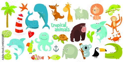 Fototapeta Naklejka Na Ścianę i Meble -  Big set of vector animals. Tropical animals. cartoon animals. lion, giraffe, gorilla, crab, shark, snake, elephant, rhinoceros, parrot, koala, kangaroo, crocodile, turtle
