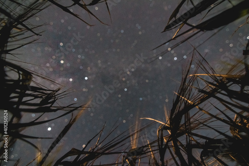 Looking up at night sky