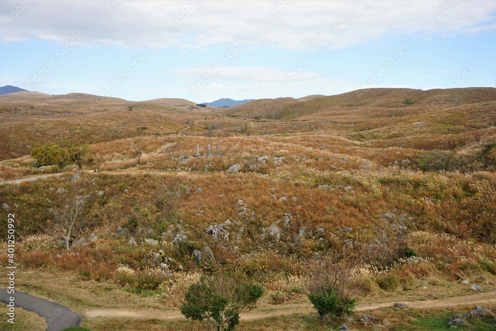 The landscape of Akiyoshi plateau in Akiyoshidai Kokutei Koen, Akiyoshidai National Park, in Yamaguchi, Japan - 秋吉台 日本	