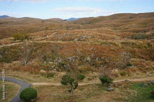 The landscape of Akiyoshi plateau in Akiyoshidai Kokutei Koen, Akiyoshidai National Park, in Yamaguchi, Japan - 秋吉台 日本	 photo