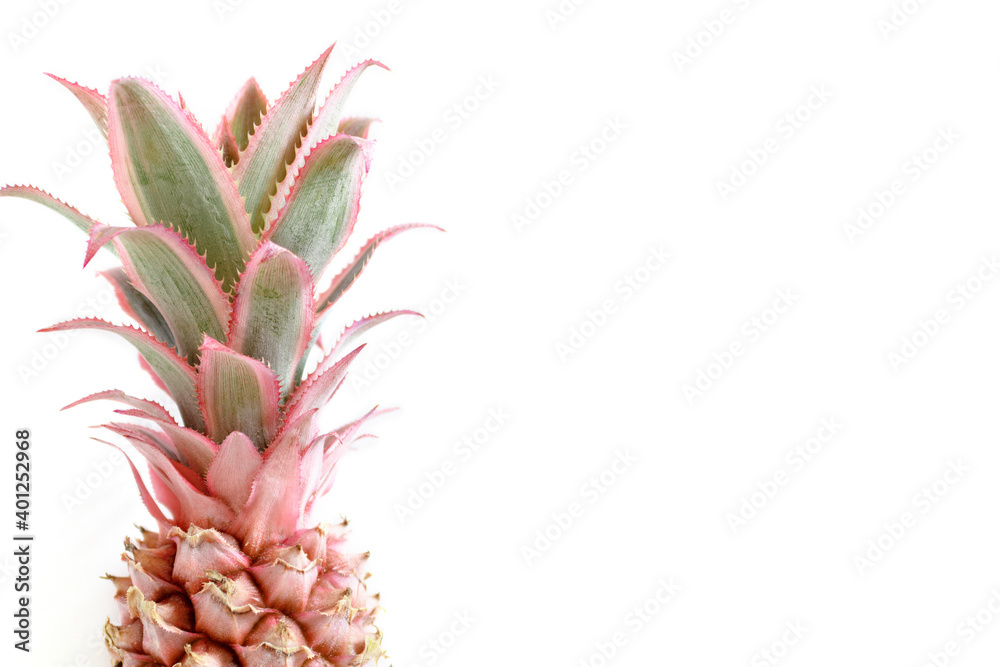 Pink pineapple with copy space on a white background. Trendy summertime composition. Pink pineapple with copy space on a white background. Trendy summertime composition.