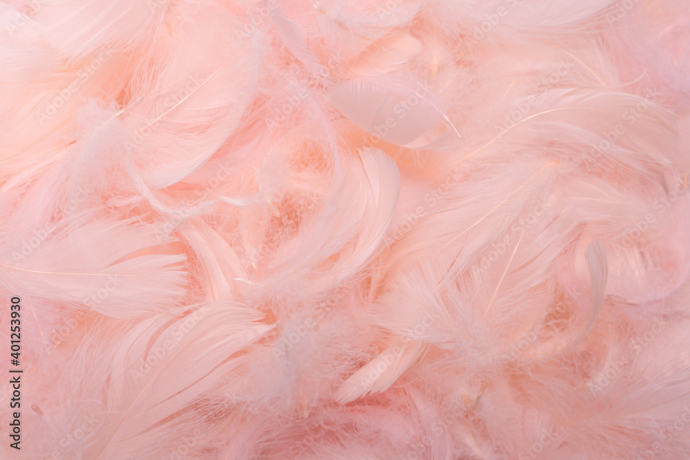 Colorful feather background, top view. Colorful feather background, top view.