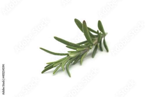 Closeup of rosemary branch on white background