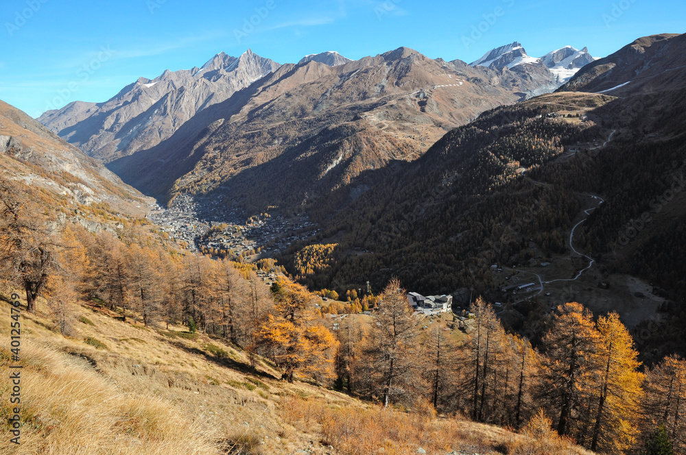 Larch forests color the slopes around Zermatt in autumn.