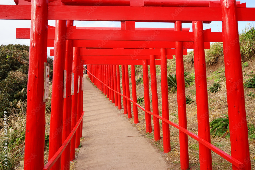 Many torii gates of the Motonosumi shrine in Yamaguchi, Japan - 元乃隅神社 鳥居 山口県 日本 Many torii gates of the Motonosumi shrine in Yamaguchi, Japan - 元乃隅神社 鳥居 山口県 日本
