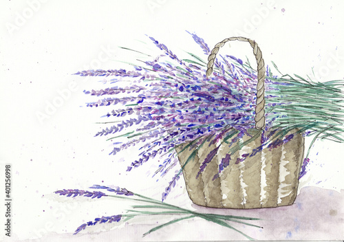 Basket with a bouquet of lavender watercolor illustration. Freshly cut flowers. Purple flower. Drawing flowers on textured paper. Copy space.