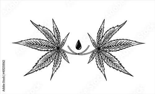 Hemp leaves and a drop of hemp oil. Cannabidiol emblem on a white background. Black and white handdrown isolated illustration.