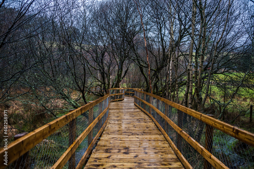 Scenic view of wooden path in Glendalough in rainy day of Autumn and winter. Concepts: season, outdoors, travelling, landscape