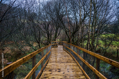 Fototapeta Naklejka Na Ścianę i Meble -  Scenic view of wooden path in Glendalough in rainy day of Autumn and winter. Concepts: season, outdoors, travelling, landscape