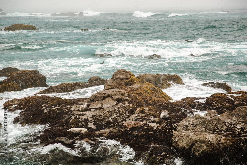 The Pacific Ocean coast in the city of Monterey in California. United States of America. Beautiful beach on a sunny day. Ocean landscape.