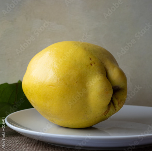 whole ripe yellow quince fruit on white plate photo